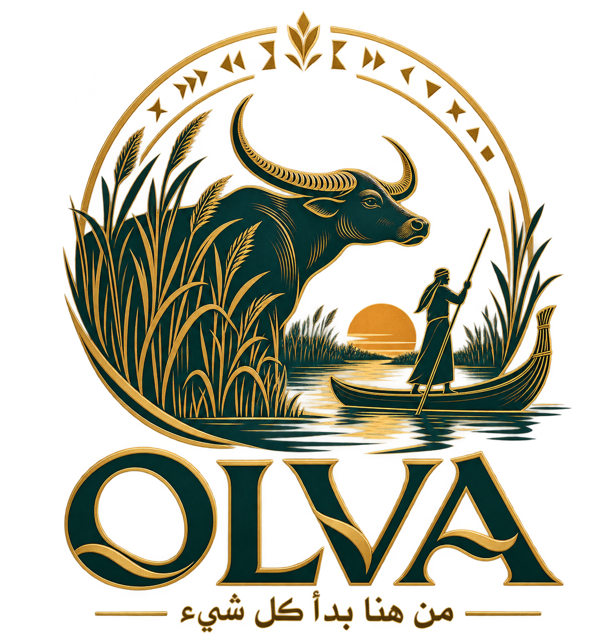 OLVA
